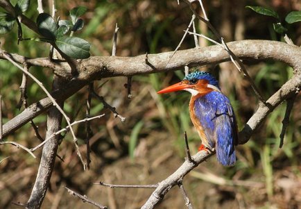 Commercial Property for Sale in Port Alfred Rural Eastern Cape